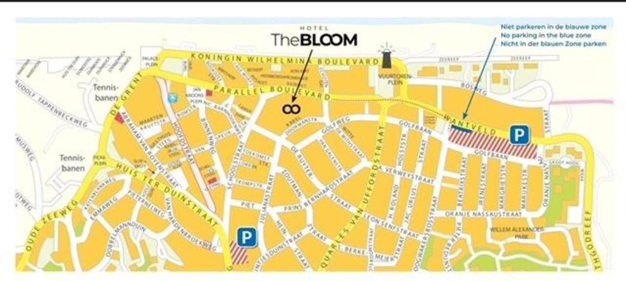 The Bloom 3*